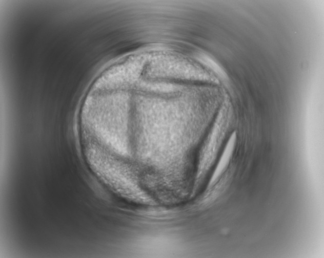 X0000088700907200706211942