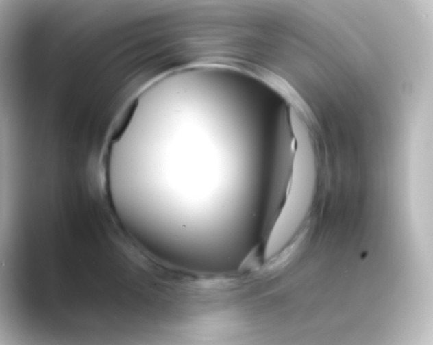 X0000088700908200706211942