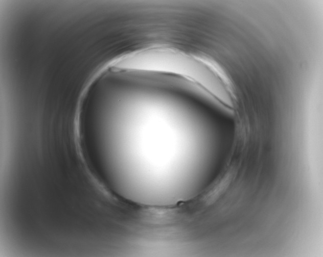 X0000088700910200706211942