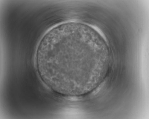 X0000088700911200706211942