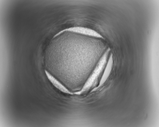 X0000088700913200706211942