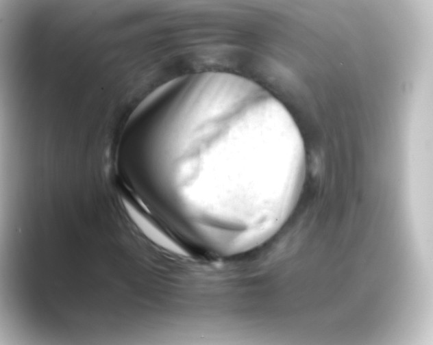 X0000088700915200706211942