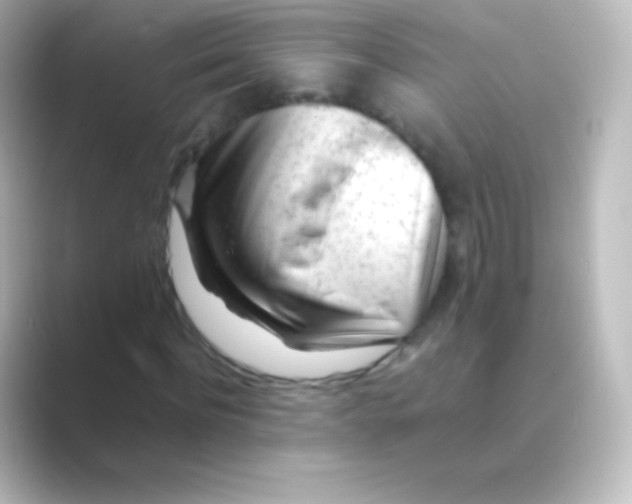 X0000088700916200706211942