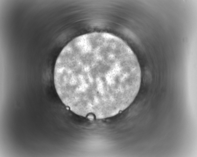 X0000088700918200706211942