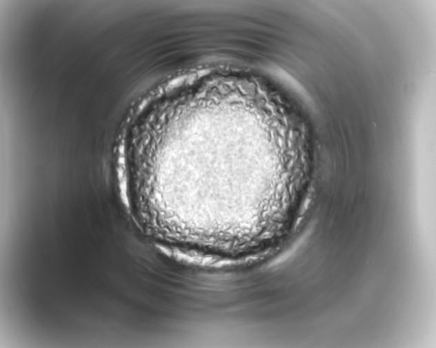 X0000088700921200706211942