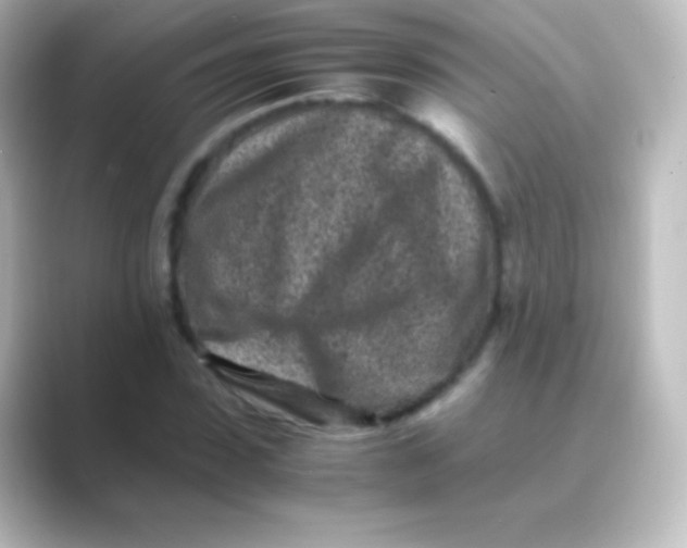 X0000088700923200706211942