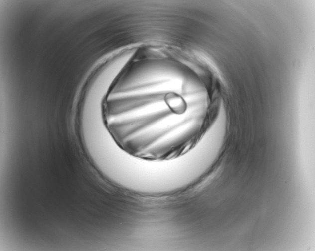 X0000088700924200706211942