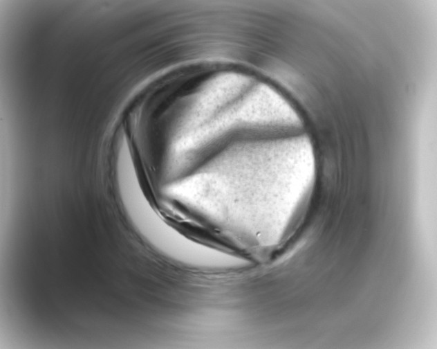 X0000088700926200706211942