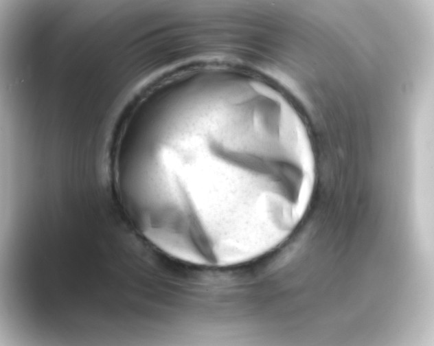 X0000088700927200706211942