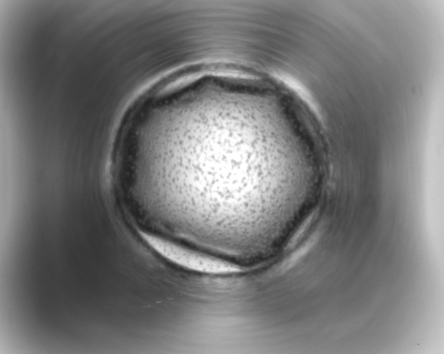 X0000088700928200706211942