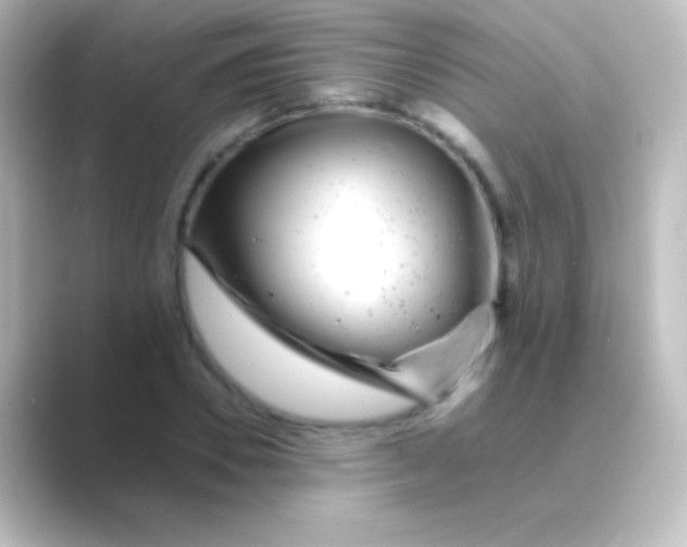 X0000088700930200706211942