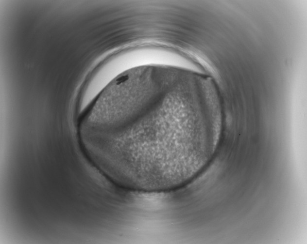 X0000088700934200706211942