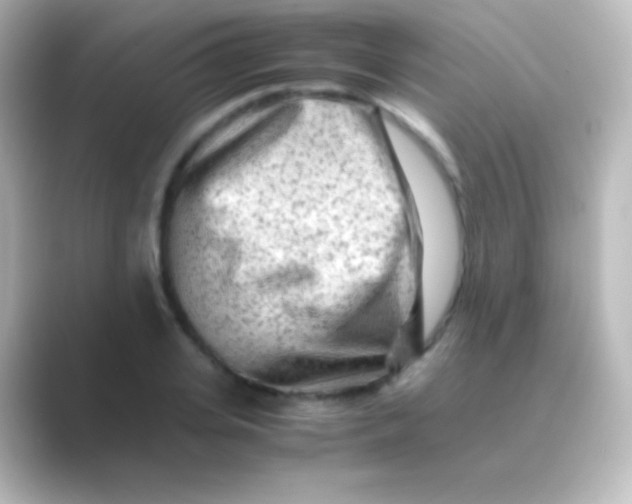 X0000088700935200706211942