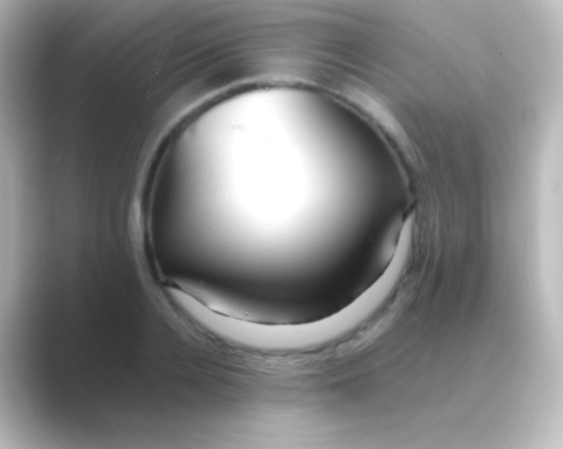 X0000088700936200706211942
