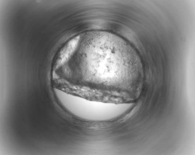 X0000088700938200706211942