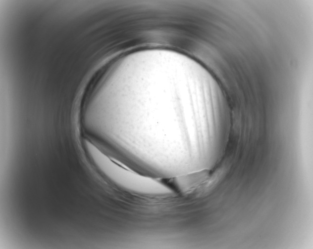 X0000088700939200706211942
