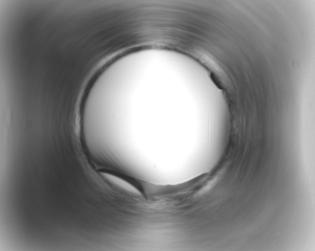 X0000088700940200706211942