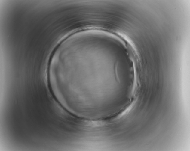 X0000088700941200706211942