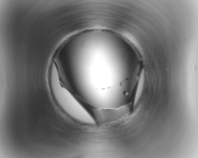X0000088700942200706211942