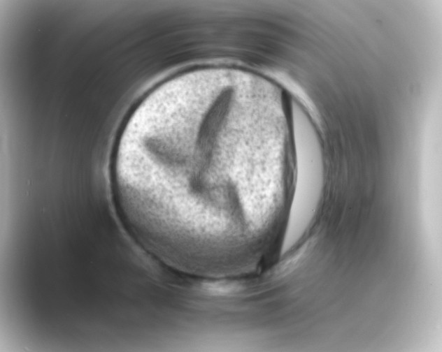 X0000088700943200706211942