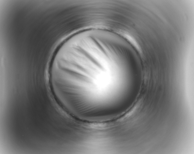 X0000088700944200706211942
