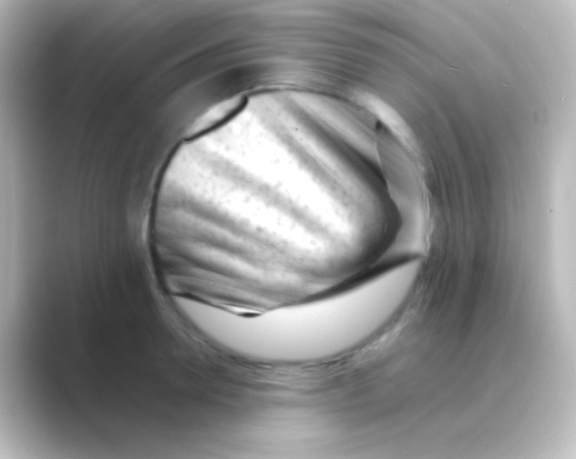 X0000088700946200706211942