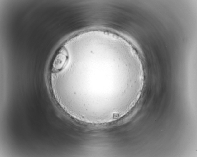 X0000088700950200706211942