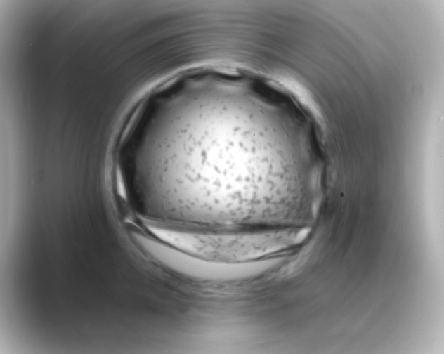 X0000088700952200706211942