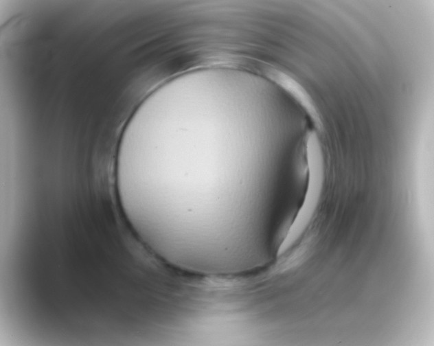X0000088700954200706211942