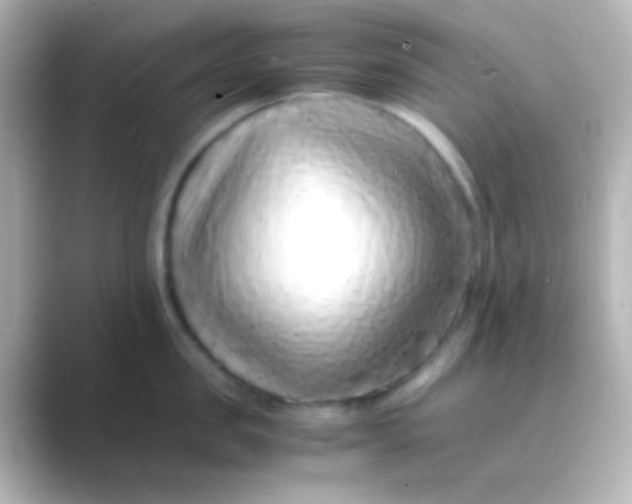 X0000088700957200706211942