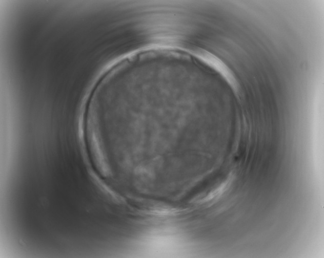X0000088700958200706211942
