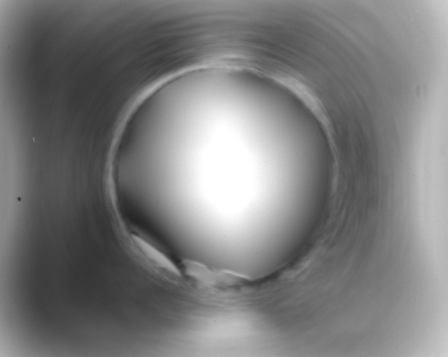 X0000088700960200706211942