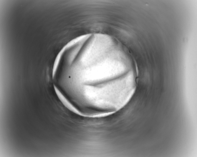 X0000088700962200706211942