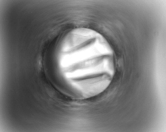 X0000088700963200706211942