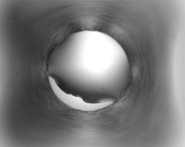 X0000088700964200706211942