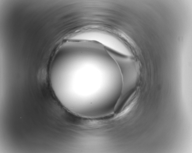 X0000088700969200706211941