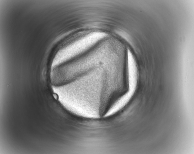 X0000088700971200706211941