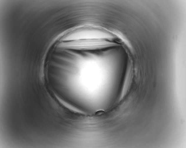 X0000088700972200706211941