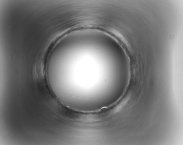 X0000088700973200706211941