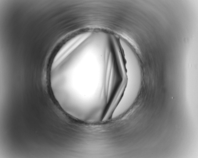 X0000088700976200706211941