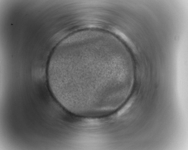 X0000088700977200706211941