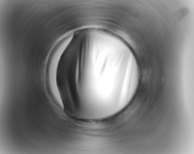 X0000088700980200706211941