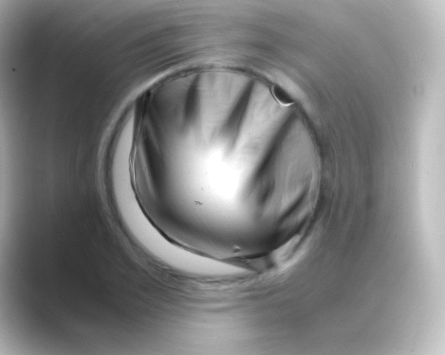 X0000088700981200706211941