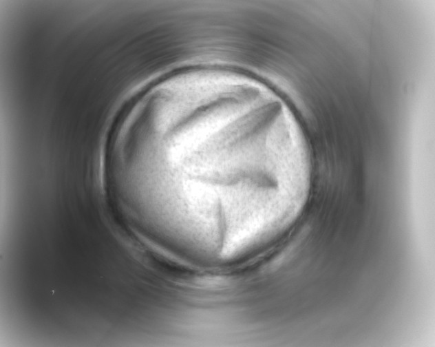 X0000088700982200706211941
