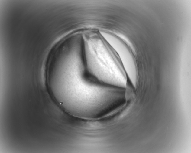 X0000088700983200706211941