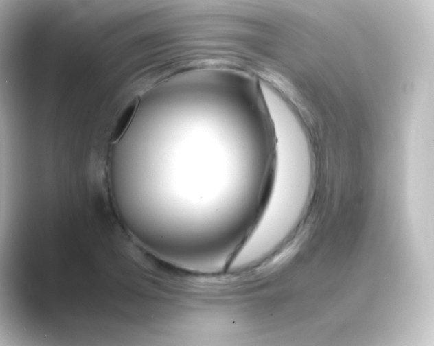 X0000088700985200706211941