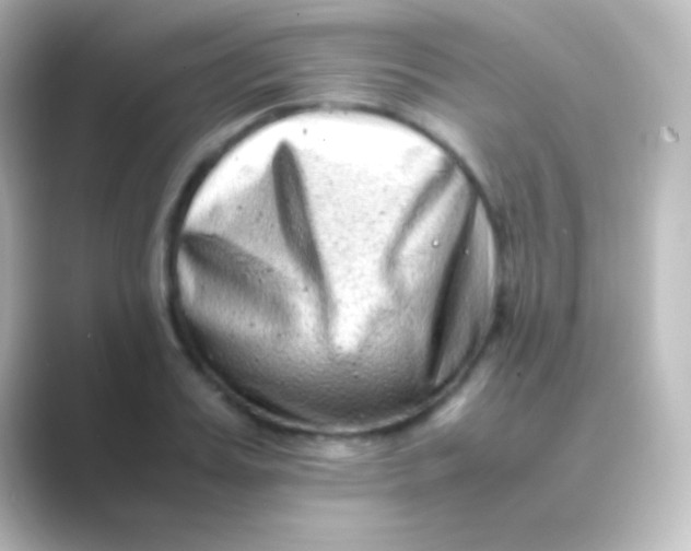 X0000088700987200706211941