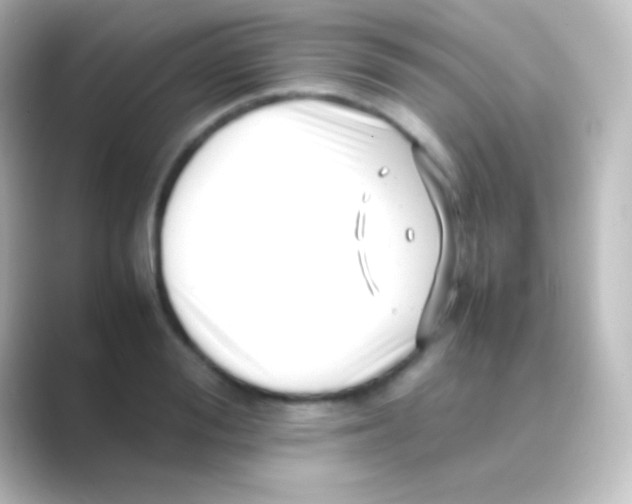 X0000088700988200706211941