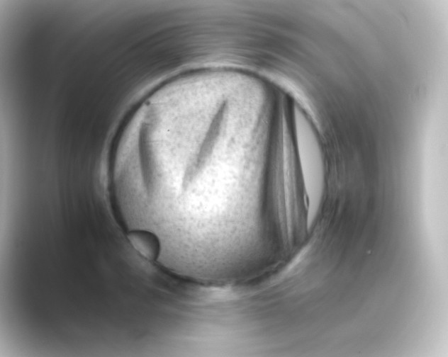 X0000088700990200706211941