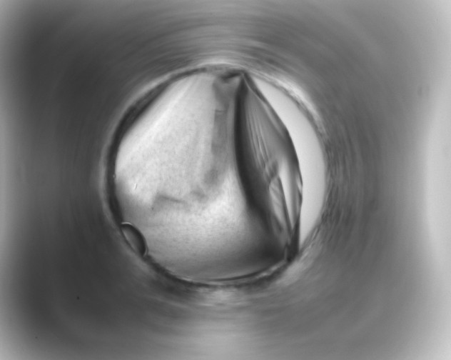 X0000088700991200706211941